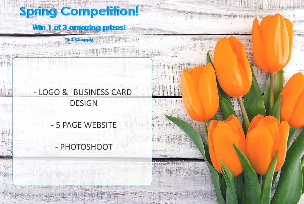 spring competition  | Oonie Cape Town | Web Design and SEO Agency
